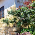 Gradonačelnik Niša Dragoslav Pavlović obišao gazdinstvo porodice Vacić u Sićevu