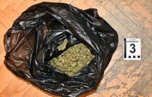 Zaplenjena droga, FOTO Policijska uprava Niš