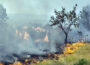 foto -SVS MUP SRBIJE