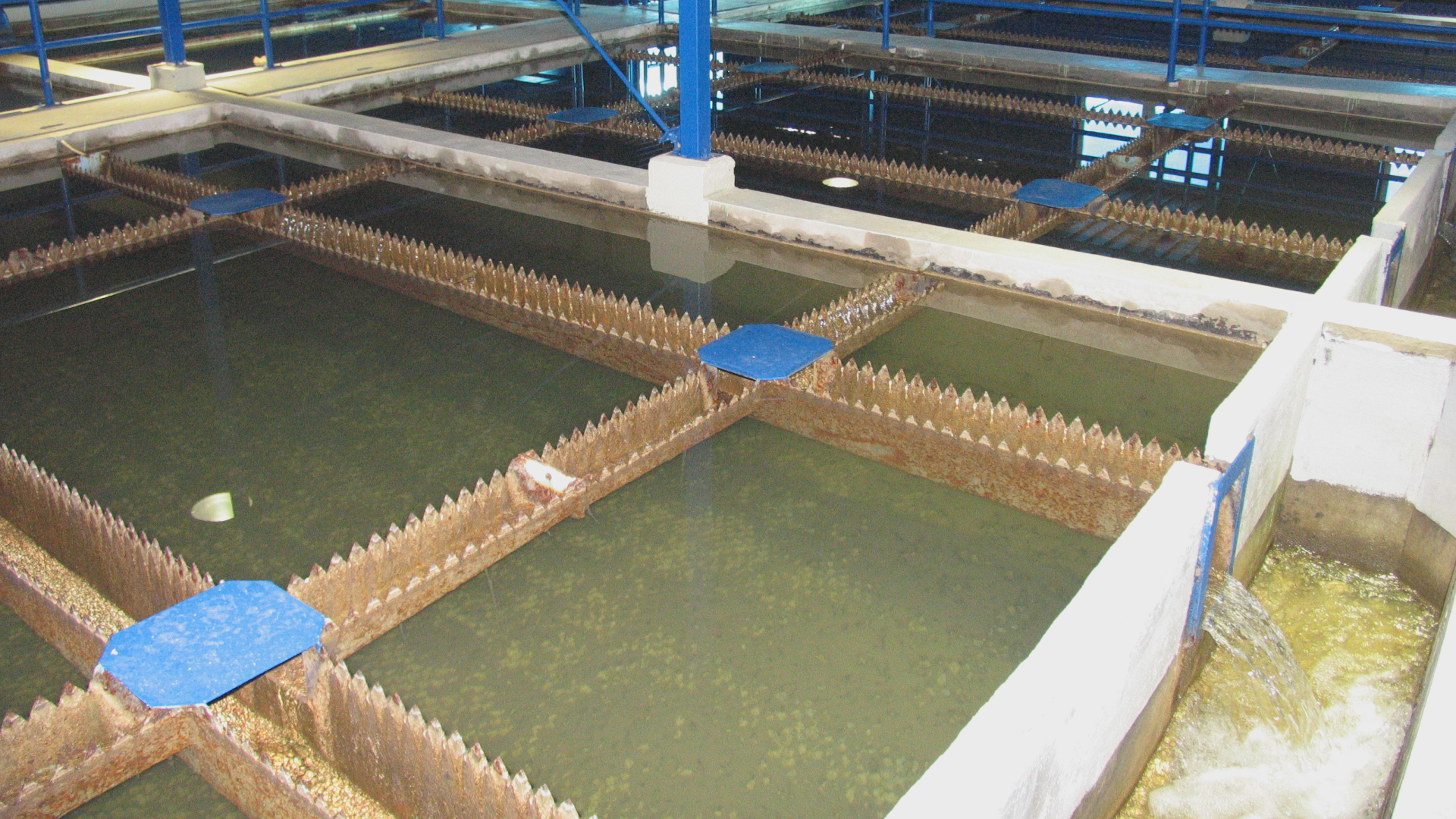 JKP NAISSUS izvorište Medijana