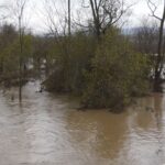 Poplave kod Vranja, FOTO Tanjug video