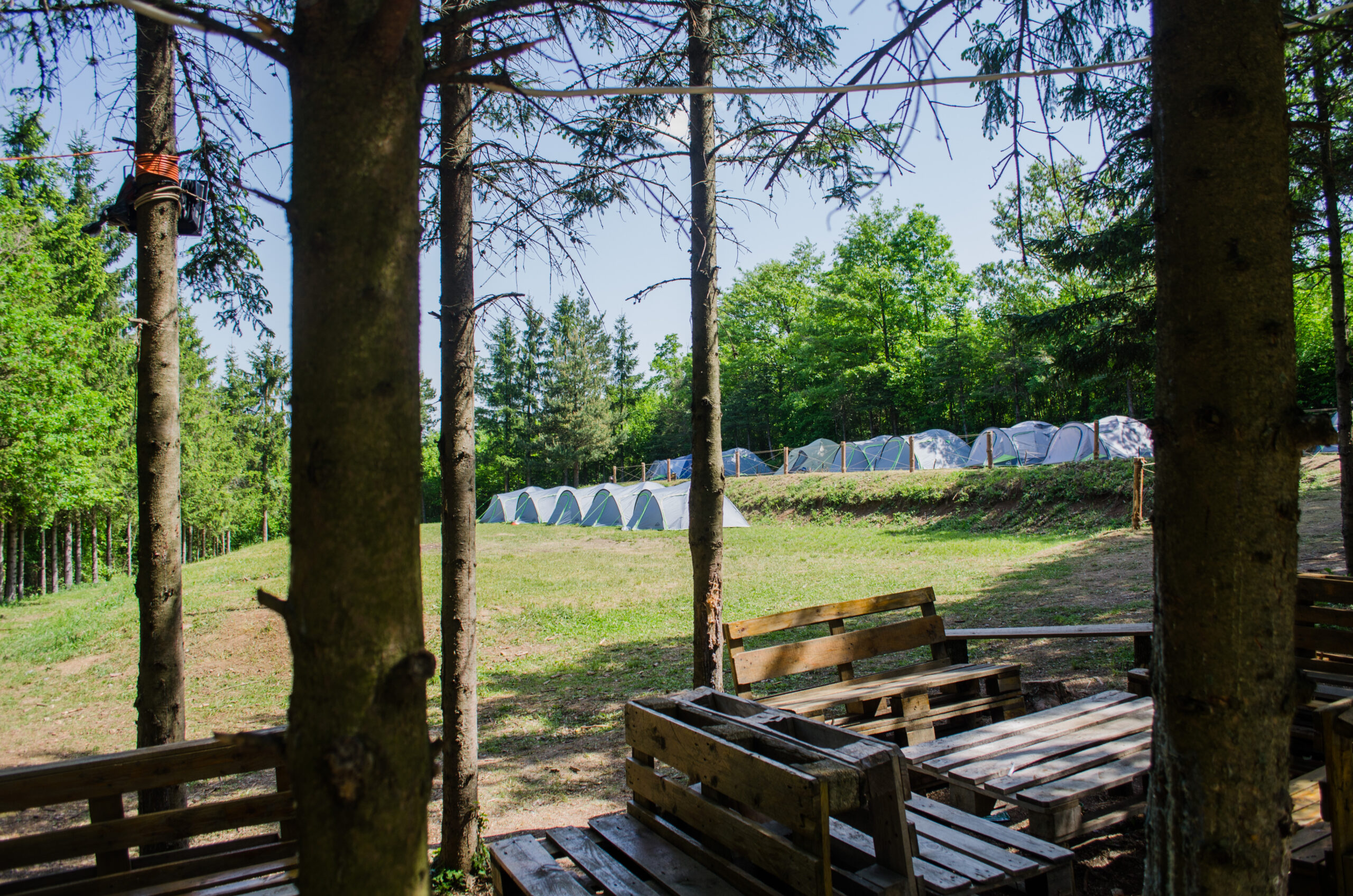 FOTO: www.lola.org.rs