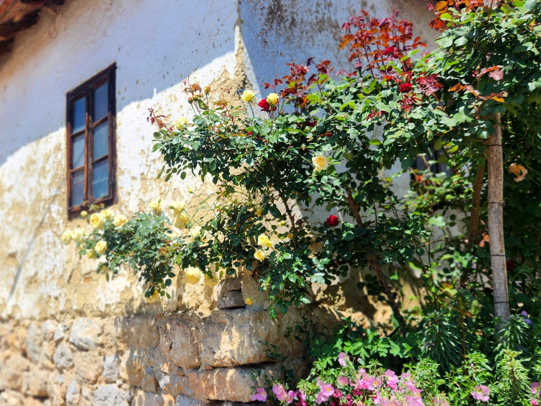 Gradonačelnik Niša Dragoslav Pavlović obišao gazdinstvo porodice Vacić u Sićevu
