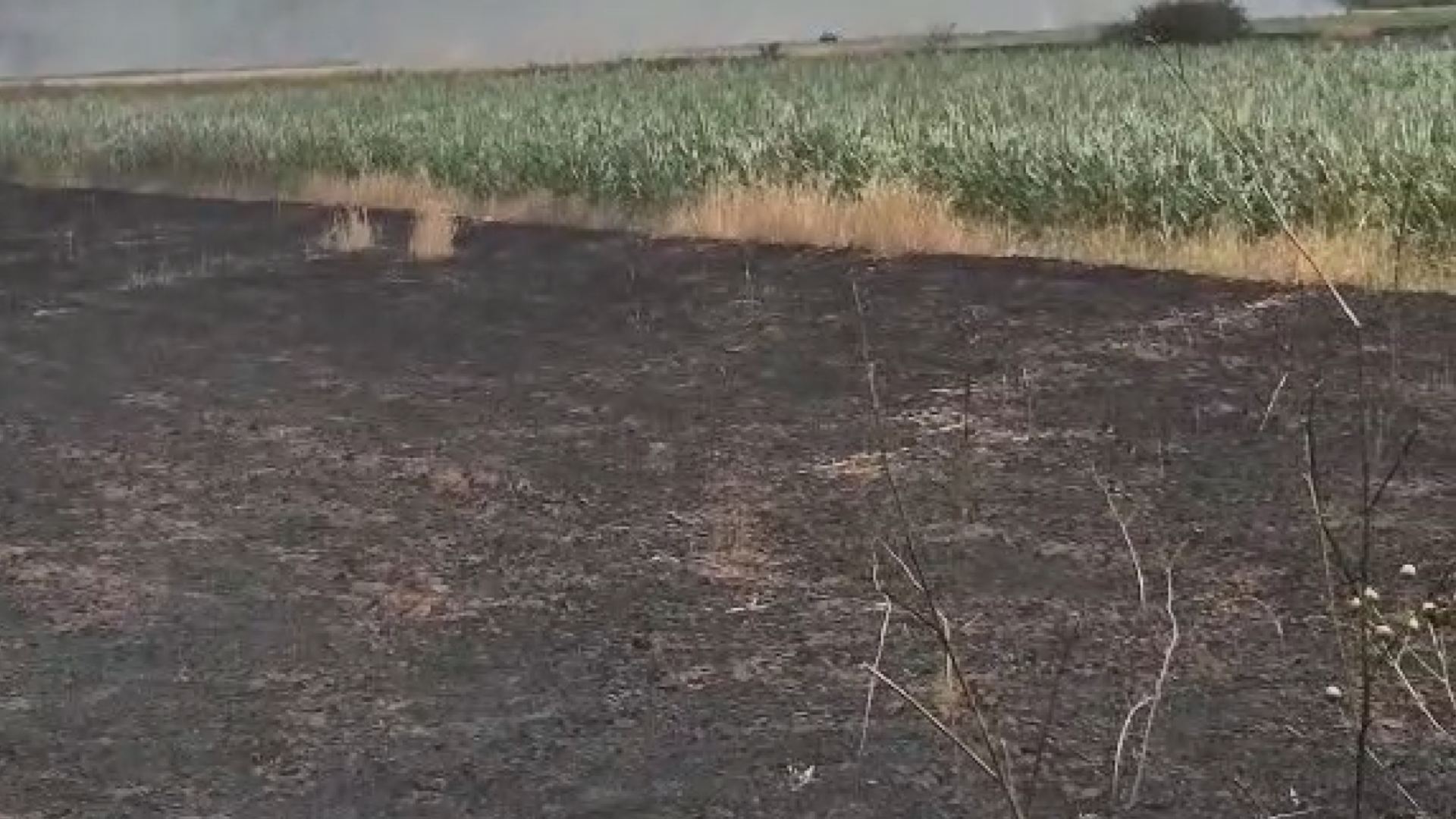 Požar u ataru Trupala, FOTO: Zona plus