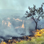 foto -SVS MUP SRBIJE