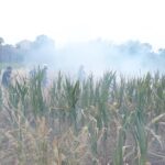 požari foto Zona plus