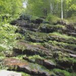 Tupavica FOTO Zona plus