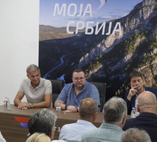 Pokret za narod i državu, Niš