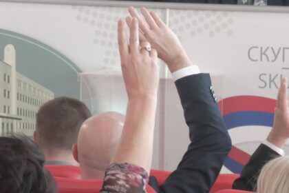 Skupština Grada Niša, glasanje