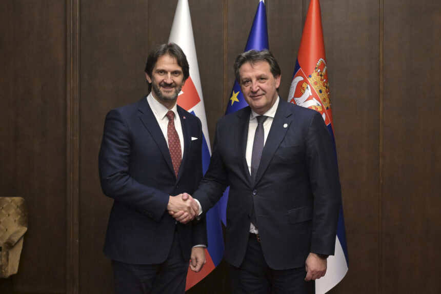 Sastanak ministra Gašića sa ministrom odbrane Slovačke Kalinakom FOTO Ministarstvo odbrane