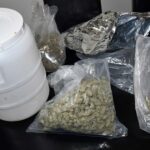 zaplena marihuane, FOTO PU Niš