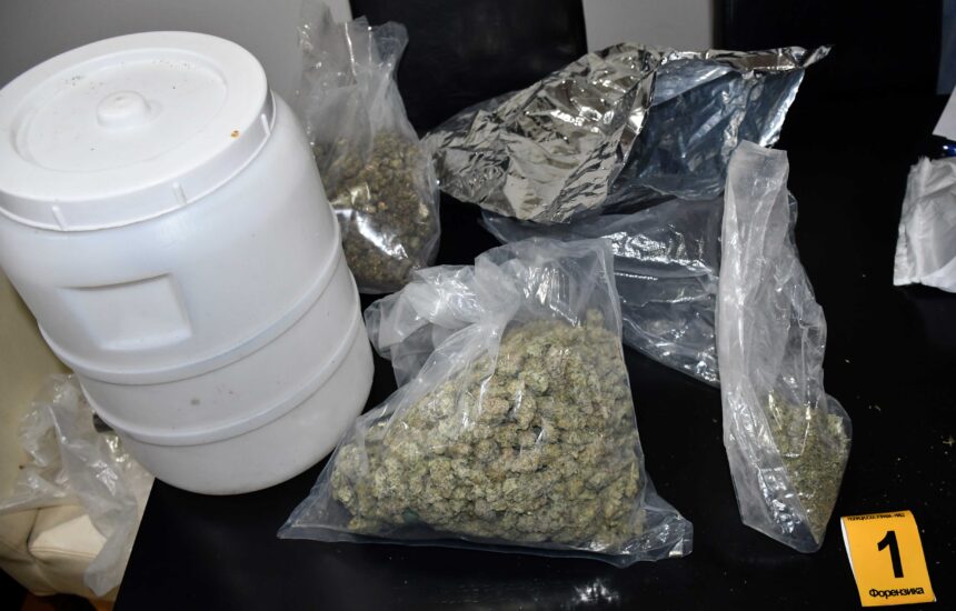 zaplena marihuane, FOTO PU Niš