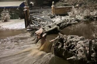 izlivanje Humskog potoka - foto Insta drmmilutinovic