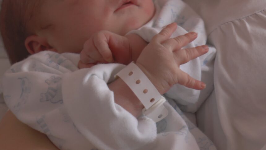 Beba, FOTO Zona plus