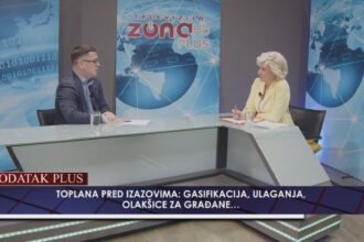 zivojin tasic foto ps zona plus