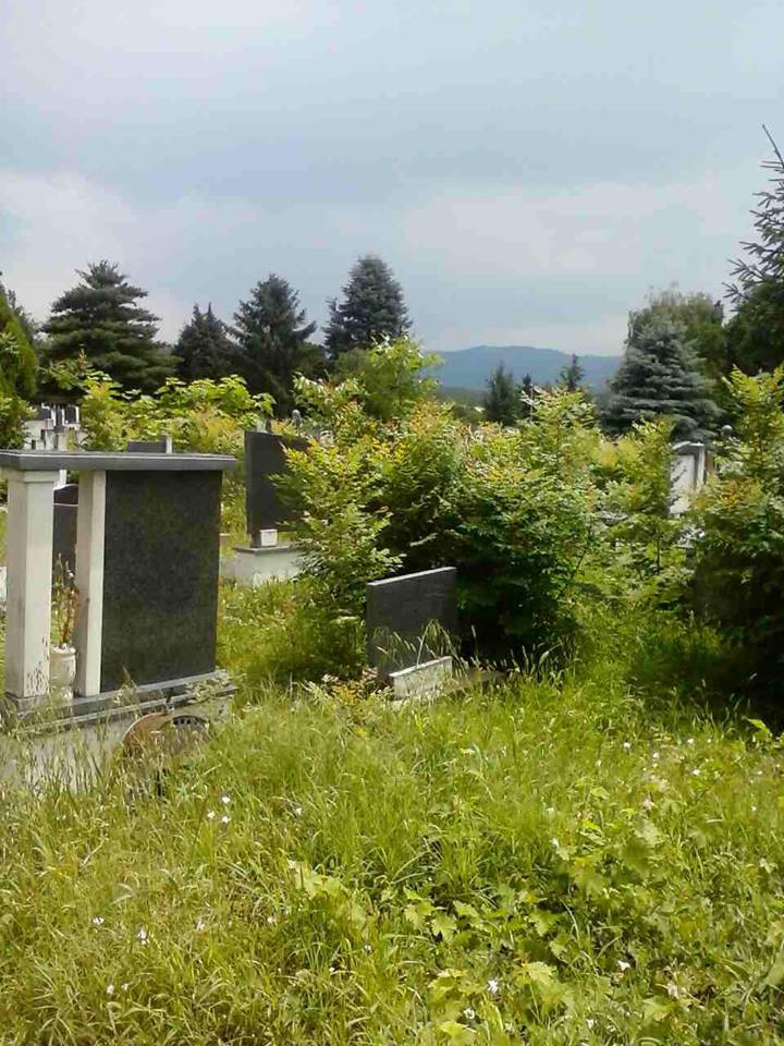 Deo Novog groblja – spomenici se ne vide od trave (FOTO)