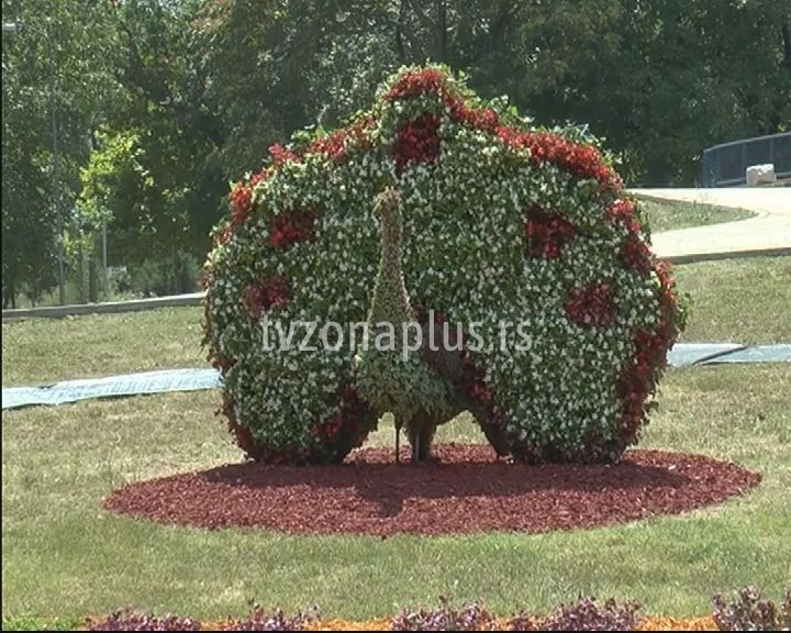 Paun od cveća- novi simbol parka Čair