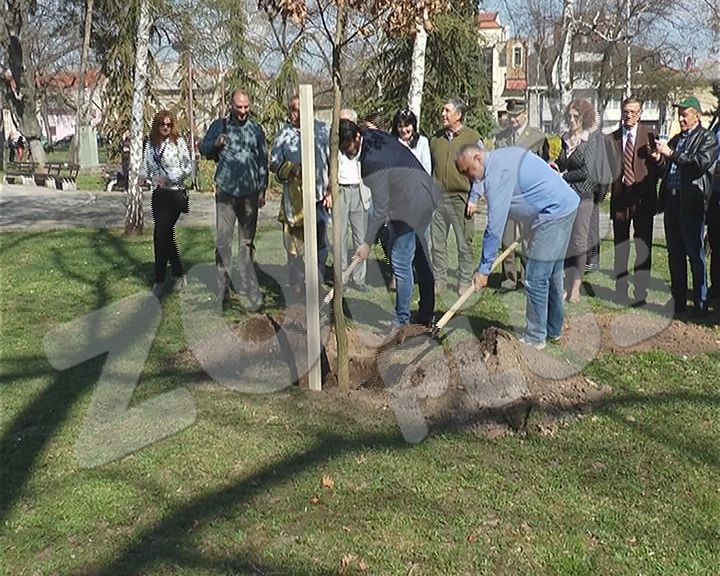 Manje od 30 odsto teritorije Srbije pod šumama (VIDEO)