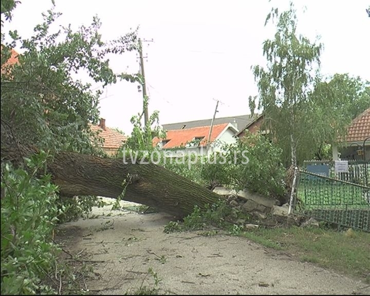 Oluja oborila 17 stabala. Drvo palo na krov kuće u D. Međurovu (VIDEO)