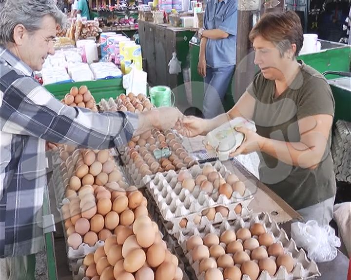 U Nišu nema brige zbog nezdravih jaja (VIDEO)