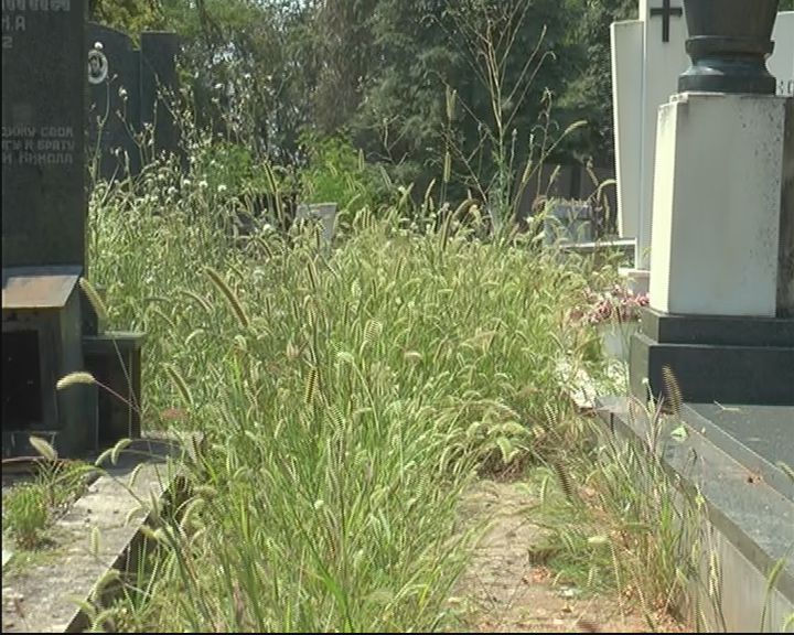 Mediana čisti Novo groblje (VIDEO)