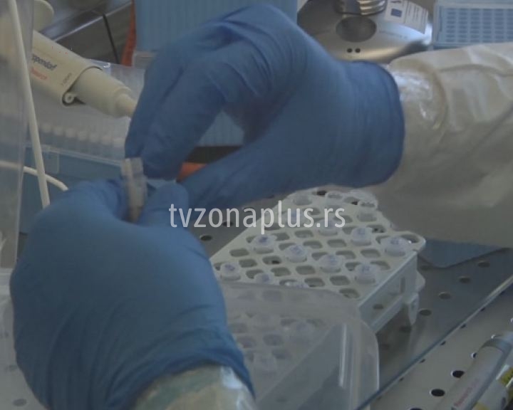 Vlada Srbije: U Srbiji trenutno više od 260.000 PCR testova